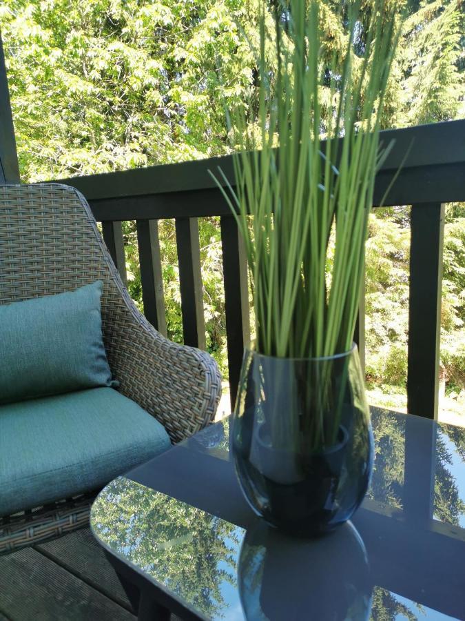 Country-Suites By Verdino Living - Apartments & Suites (Adults Only) Braunlage Exteriér fotografie